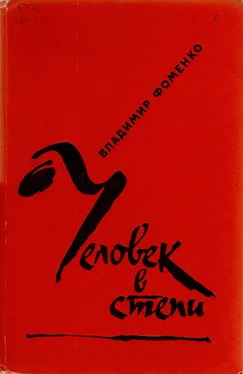 Владимир Фоменко Человек в степи обложка книги