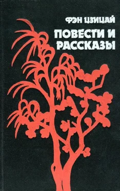 Фэн Цзицай Повести и рассказы обложка книги