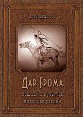 Алексей Берков - Дар Грома. Лошади в культуре индейцев равнин