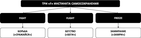 Рис 6 Три F инстинкта самосохранения Порочный круг избыточной тревоги В - фото 7