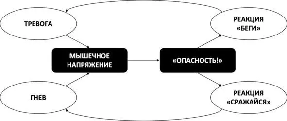 Рис 9 Порочный круг мышечного напряжения Психофизическая проблема Этот - фото 10