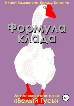 Кирилл Кащеев Формула клада обложка книги