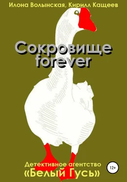 Илона Волынская Сокровище forever обложка книги