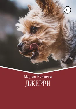 Мария Руднева Джерри обложка книги