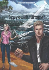 Евгений Пивоваров - Бушующий «Шторм». Роман