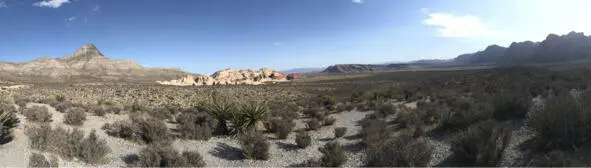 Эти скалы по очертаниям напомнили мне слонов Death Valley Ночевать вернулась - фото 9