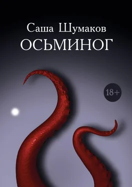 Саша Шумаков Осьминог обложка книги