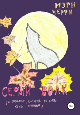 Мэри Черри Серый волк обложка книги