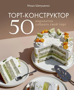 Мария Шелушенко Торт-конструктор. 50 вариантов собрать свой торт обложка книги