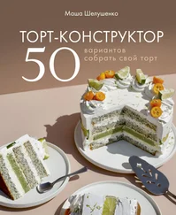 Мария Шелушенко - Торт-конструктор. 50 вариантов собрать свой торт