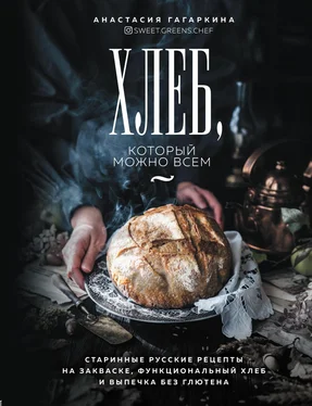 Анастасия Гагаркина Хлеб, который можно всем. Старинные русские рецепты на закваске, функциональный хлеб и выпечка без глютена обложка книги