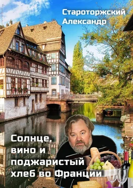 Александр Староторжский Солнце, вино и поджаристый хлеб во Франции обложка книги