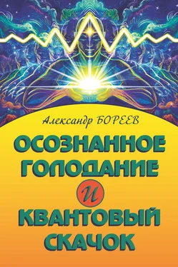 Александр Бореев Осознанное голодание и Квантовый скачок обложка книги