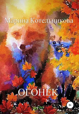 Марина Котельникова Огонёк обложка книги