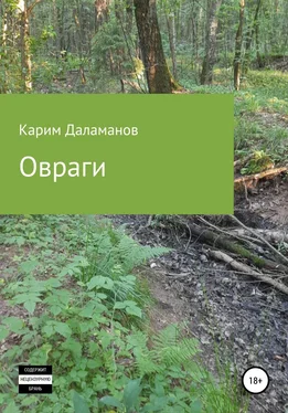 Карим Даламанов Овраги обложка книги