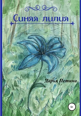 Дарья Петина Синяя лилия обложка книги