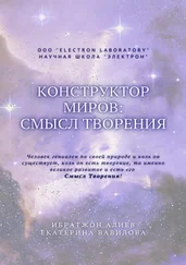 Ибратжон Алиев - Конструктор миров - Смысл творения. Том 5