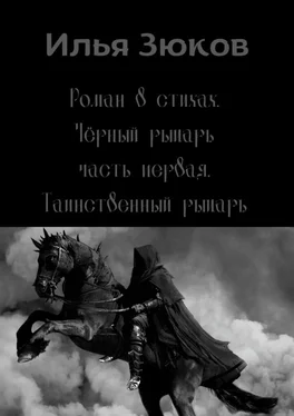 Илья Зюков Роман в стихах «Черный рыцарь». Часть первая. Таинственный рыцарь обложка книги