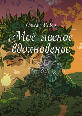 Ольга Шефер Моё лесное вдохновенье обложка книги