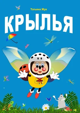 Татьяна Жук Крылья обложка книги