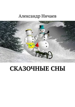 Александр Ничаев Сказочные сны обложка книги