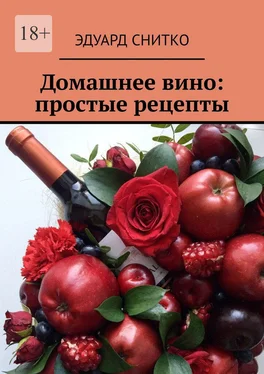 Эдуард Снитко Домашнее вино: простые рецепты