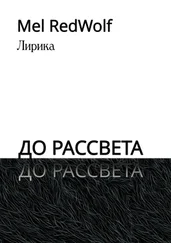 Mel RedWolf - До рассвета. Лирика