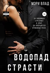 Мэри Влад - Водопад страсти