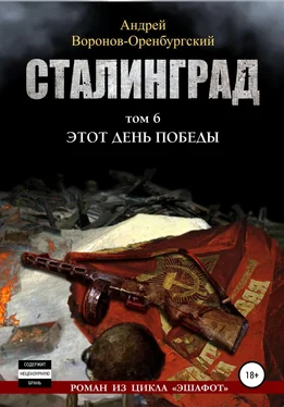 Андрей Воронов-Оренбургский Сталинград.Том шестой. Этот день победы обложка книги