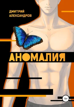 Дмитрий Александров Аномалия обложка книги