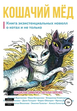 Эмилия Галаган Кошачий мёд: книга экзистенциальных новелл обложка книги