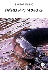 Виктор Музис - Таймени реки Оленек