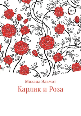 Михаил Эльмот Карлик и Роза обложка книги