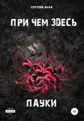 Анна Сергеева - При чем здесь пауки