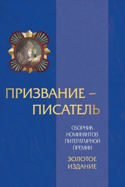 Array Сборник Призвание – писатель. Том 3 обложка книги