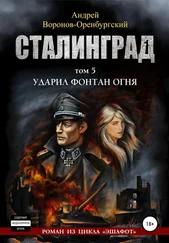 Андрей Воронов-Оренбургский - Сталинград. Том пятый. Ударил фонтан огня
