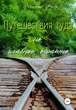 Евгения Фабр Путешествия туда, но, главное, обратно обложка книги