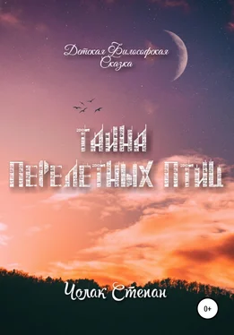 Степан Чолак Тайна Перелётных Птиц обложка книги