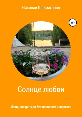 Николай Шахмагонов Солнце любви обложка книги