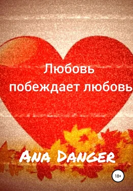 Ana Danger Любовь побеждает любовь обложка книги