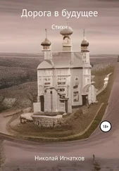 Николай Игнатков - Дорога в будущее
