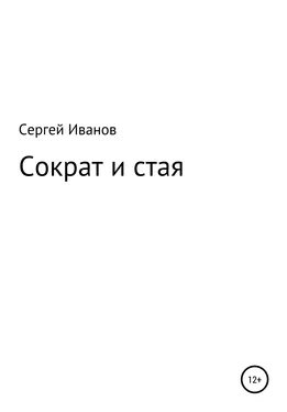 Сергей Иванов Сократ и стая обложка книги