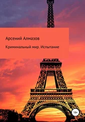 Арсений Алмазов - Криминальный мир. Испытание