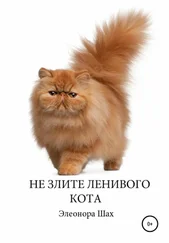 Элеонора Шах - Сказка Не злите ленивого кота