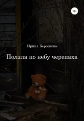 Ирина Берсенёва - Ползла по небу черепаха