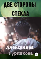 Александра Турлякова - Две стороны стекла