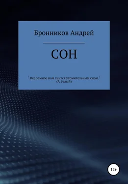 Андрей Бронников Сон обложка книги