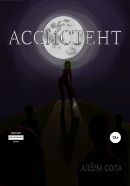 Алёна Сола Ассистент обложка книги
