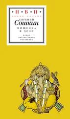 Евгений Сошкин - Нищенка в Дели