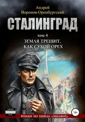 Андрей Воронов-Оренбургский - Сталинград. Том четвёртый. Земля трещит, как сухой орех